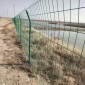 河北供应双边丝护网 公路隔网 场地围栏网